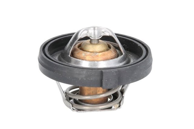 Купить 68210218MT Motorad 