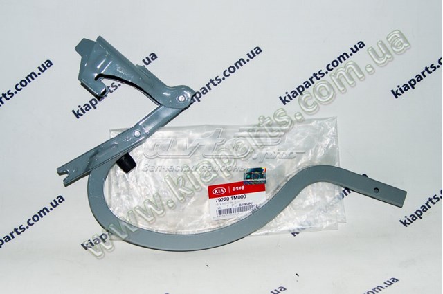 Купить 792201M000 Hyundai/Kia Завеса крышки багажника