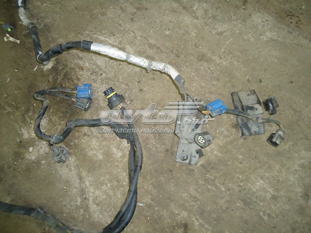  C2Z27159 Jaguar