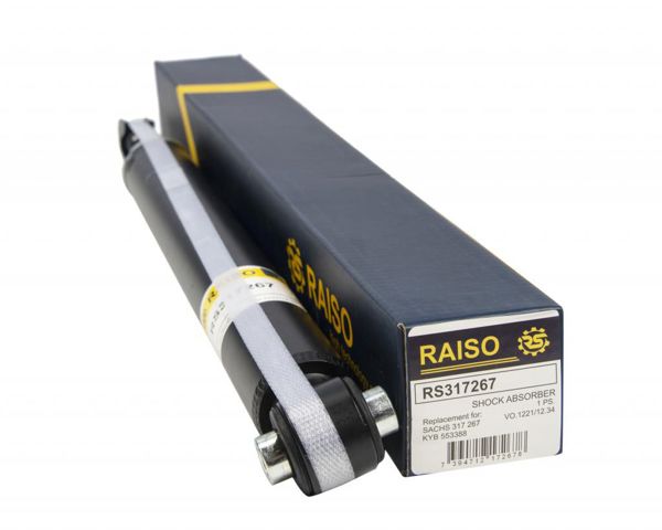 RS317267 Raiso Амортизаторы задние