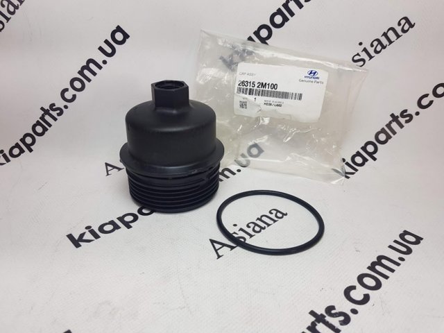 263173A680 Hyundai/Kia 