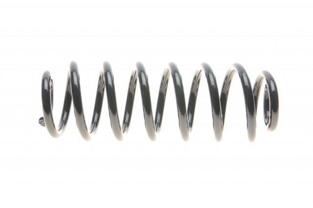 Задняя пружина R10701 Eibach