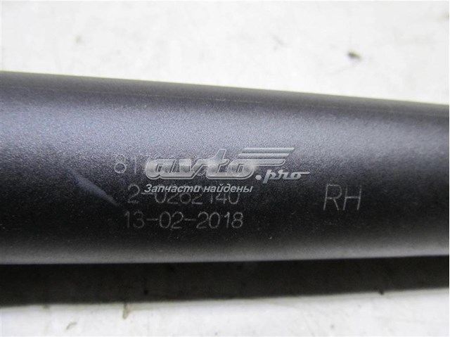 Амортизатор задней двери Hyundai/Kia 81780C5100 цена, от 295.33 USD