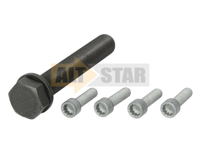 Болт шкива коленвала Continental/Siemens MS06 цена, от 12.52 USD