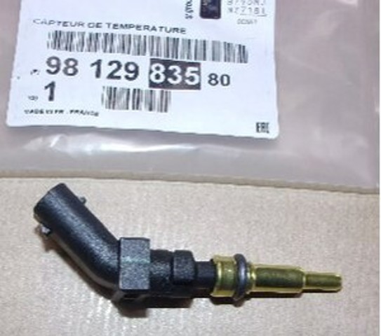9812983580 Peugeot/Citroen Термовыключатель