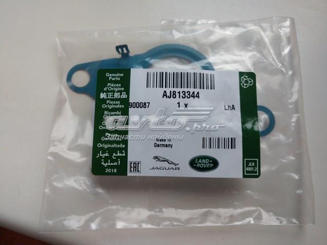 AJ813344 Jaguar 