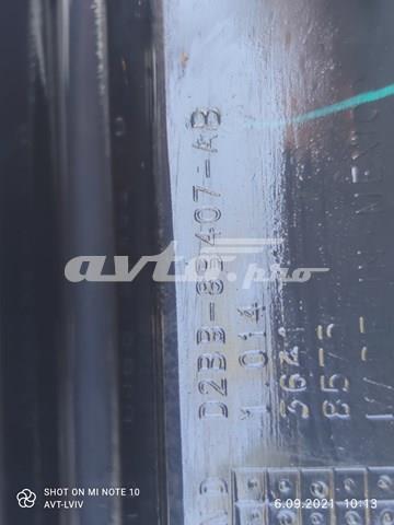  Ford D2BB8B407AB цена, от 16.87 USD