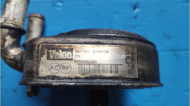 9650863480 Peugeot/Citroen 