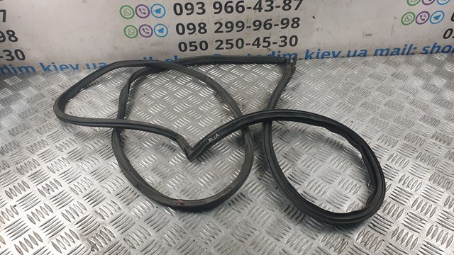 Junta de puerta delantera izquierda (en carrocería) 6231205020C0 TOYOTA