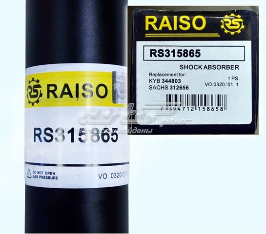 Стойка амортизатора задняя Raiso RS315865 цена, от 18.95 USD