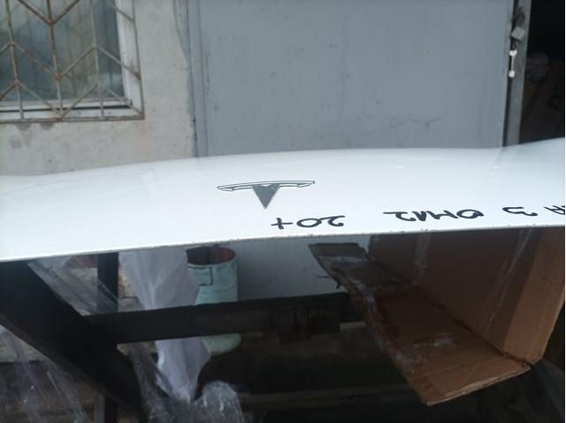Капот 1081390E0B Tesla