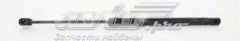 Амортизатор задней двери Magneti Marelli 430719134400 цена, от 11.02 USD