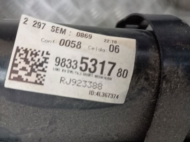 9822650280 Peugeot/Citroen Подрамник задней подвески