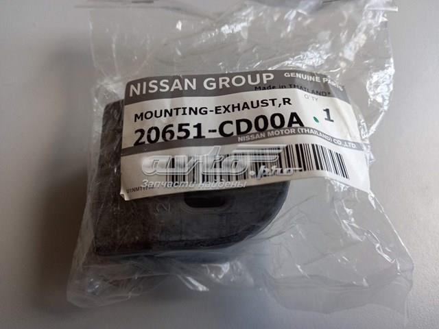 20651CD00A Nissan 