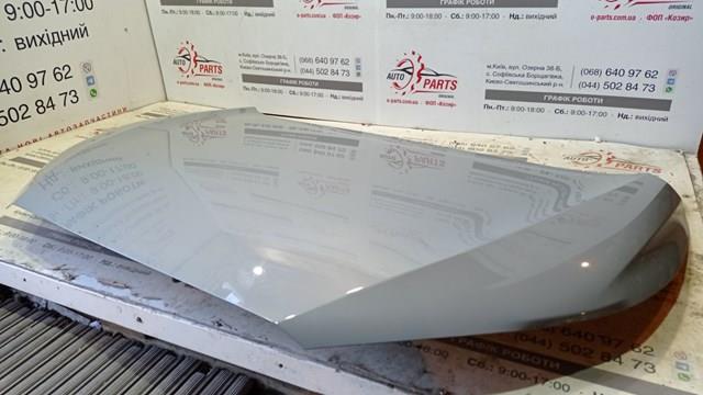 Купить PTY20283A Signeda Капот