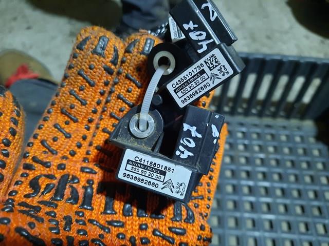 9636982680 Peugeot/Citroen 
