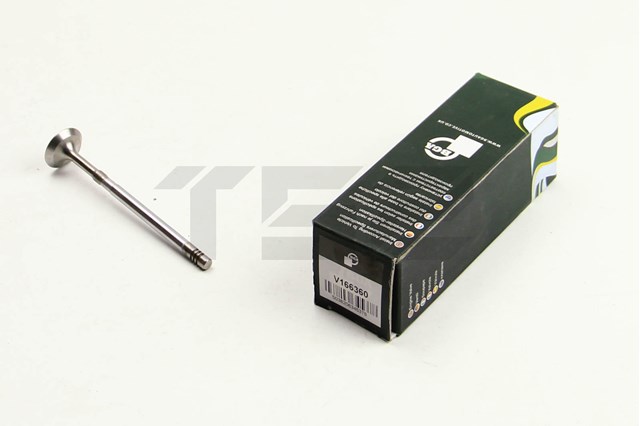Впускной клапан V166360 BGA