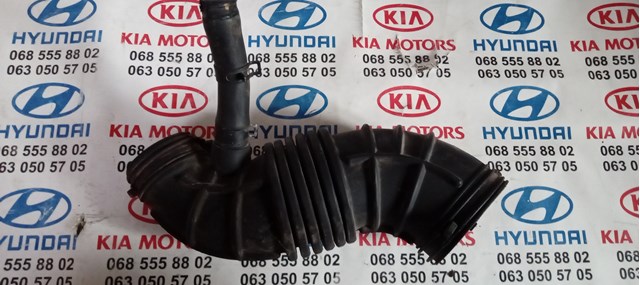 281382P300 Hyundai/Kia 