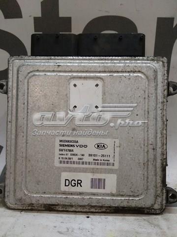 3910125111 Hyundai/Kia 