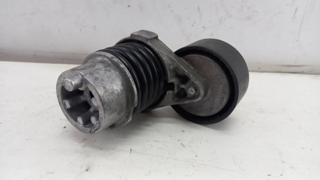 Натяжная планка поликлинового ремня Renault (RVI) 117506193R