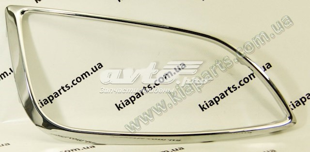 865812S300 Hyundai/Kia ободок (окантовка фары противотуманной левой)