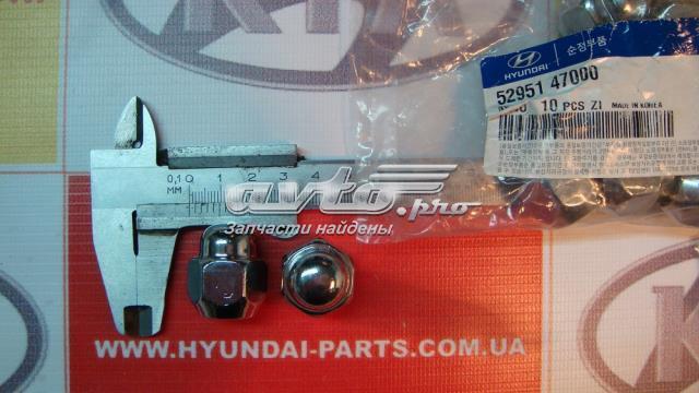 Porca de roda para Hyundai H100 (P)