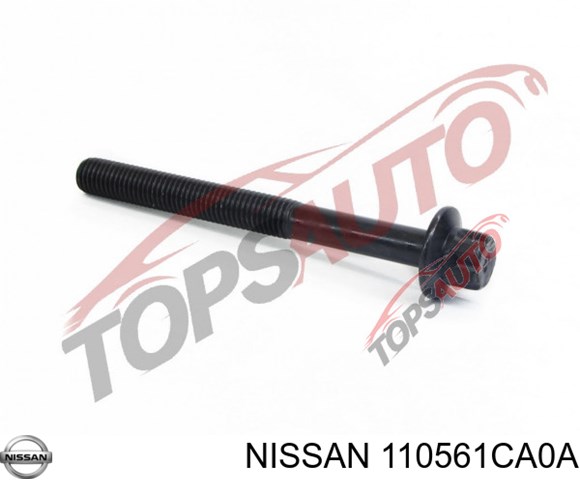  110561CA0A Nissan/Infiniti