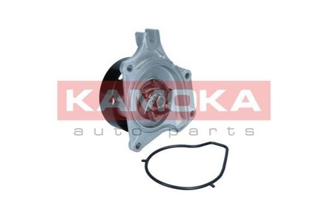  T0307 Kamoka