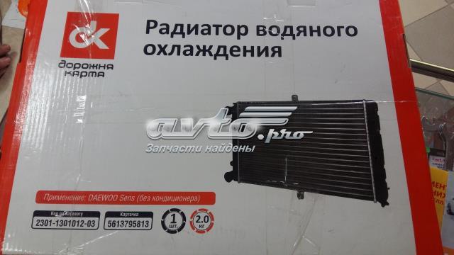 Радиатор охлаждения DK 2301130101203