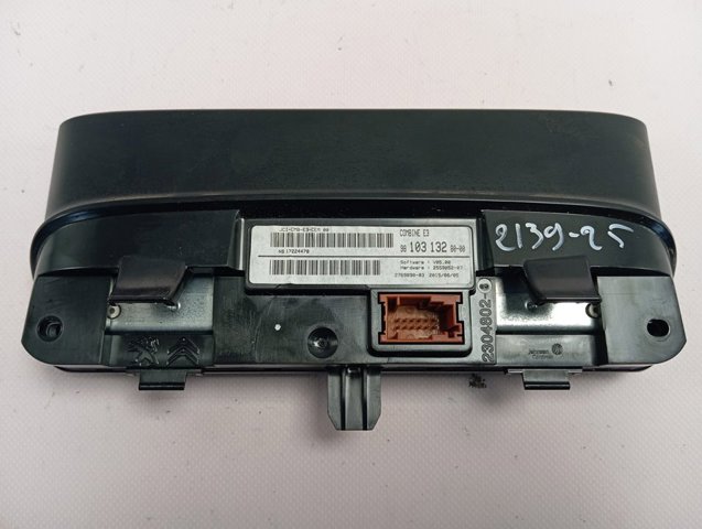 9810313280 Peugeot/Citroen 