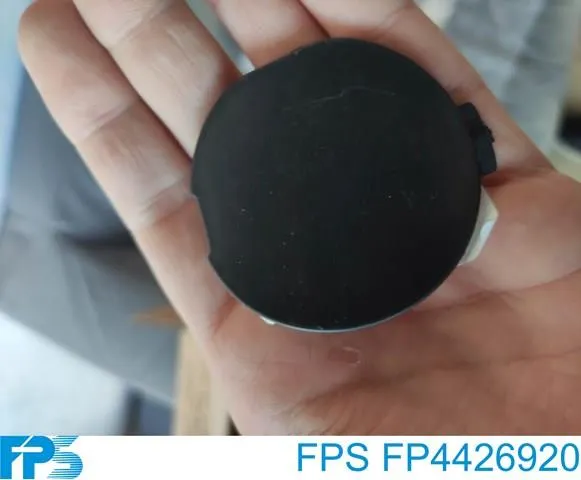 Заглушка буксировочного крюка в передний бампер FPS FP4426920 цена, от 4.93 USD