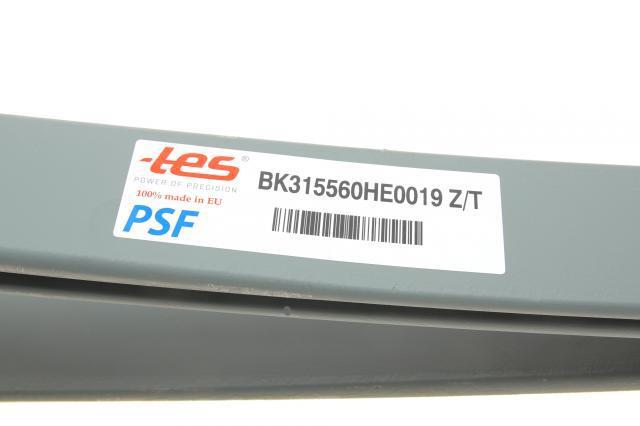 BK315560HE0019ZT TES Задние рессоры
