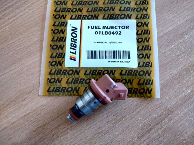 01LB0492 Libron Топливные форсунки