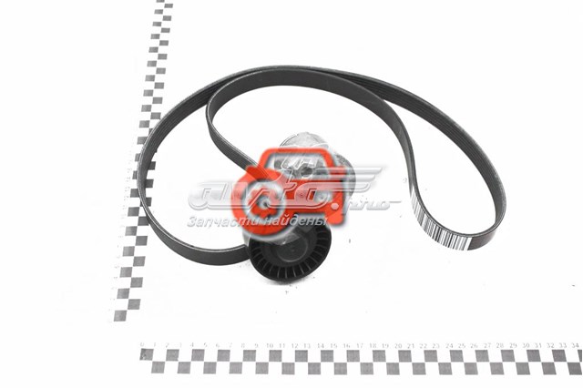 117202506R Renault (RVI) ремень агрегатов приводной, комплект