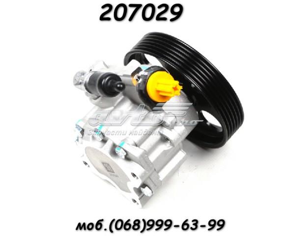 Насос ГУР 207029 Solgy