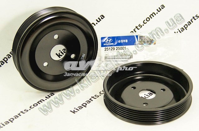 Polia da bomba de água para KIA Magentis II GE