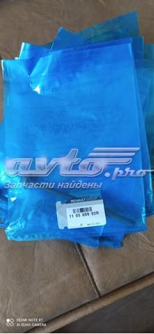 110569992R Renault (RVI) Болт крепления головки блока цилиндров