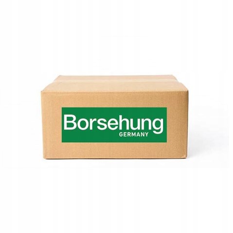  B12099 Borsehung