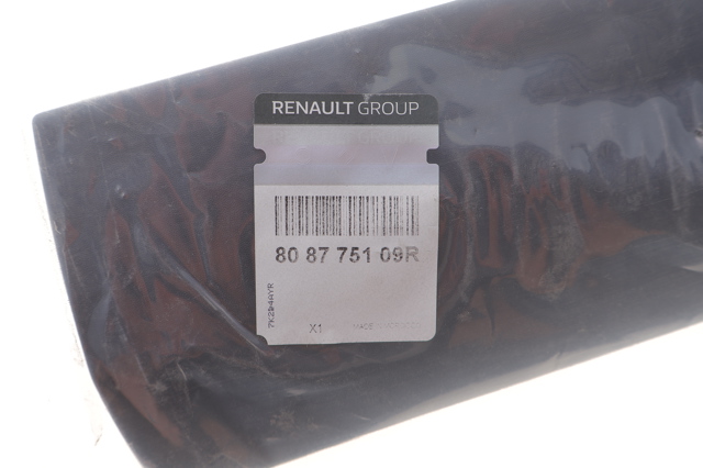 808775109R Renault (RVI) 