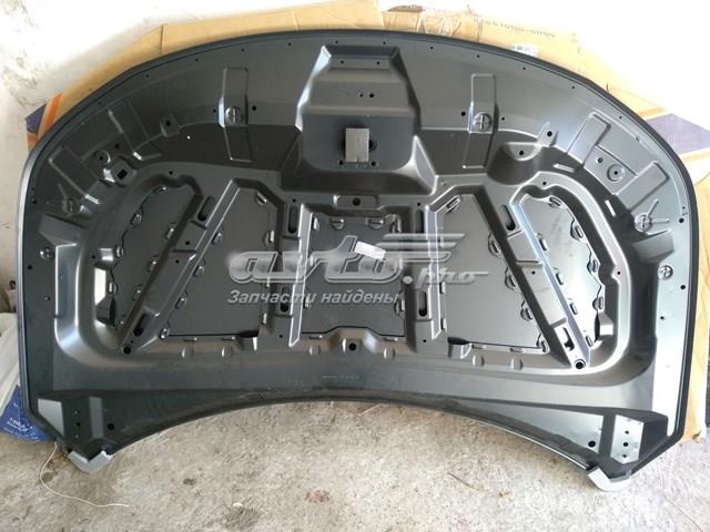 KA55101500000 API Капот