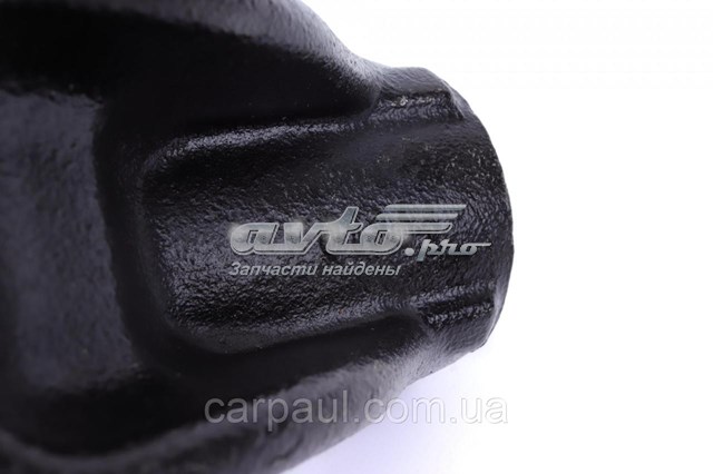 Цапфа (поворотный кулак) передний левый DP Group SS24188 цена, от 71.70 USD