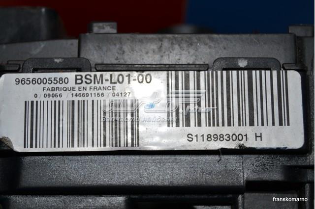 9656005580 Peugeot/Citroen 