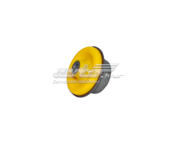  020719 Polybush