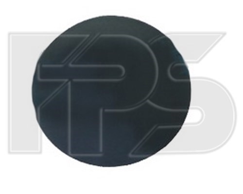 Заглушка бампера буксировочного крюка, передняя правая FPS FP7016924