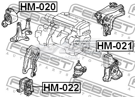 HM021 Febest coxim (suporte traseiro de motor)