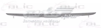 FP4631992 FPS Решетка радиатора