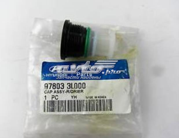  978033L000 HCC