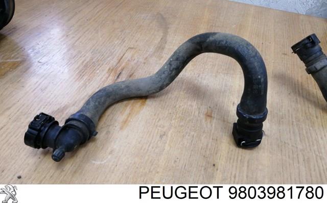 9803981780 Peugeot/Citroen 