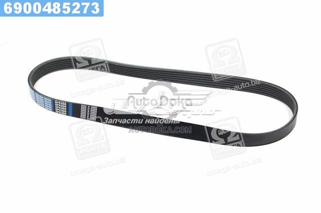 5PK905 Dongil Поликлиновый ремень