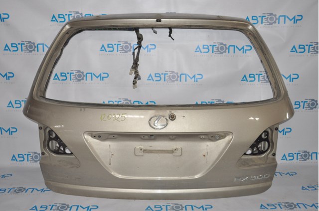 Porta traseira (3ª/5ª porta-malas (tampa de alcapão) para Lexus RX (MCU1)